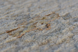 Dynamic Rugs Fiora 17230-180 Cream/Taupe Rug