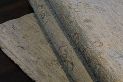 Dynamic Rugs Fiora 17230-180 Cream/Taupe Rug