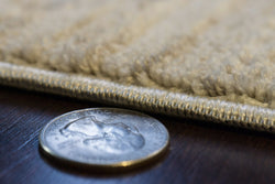 Dynamic Rugs Fiora 17230-180 Cream/Taupe Rug