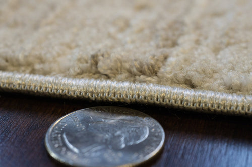 Dynamic Rugs Fiora 17231-180 Cream/Taupe Rug