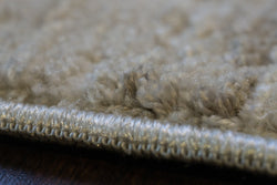 Dynamic Rugs Fiora 17231-180 Cream/Taupe Rug