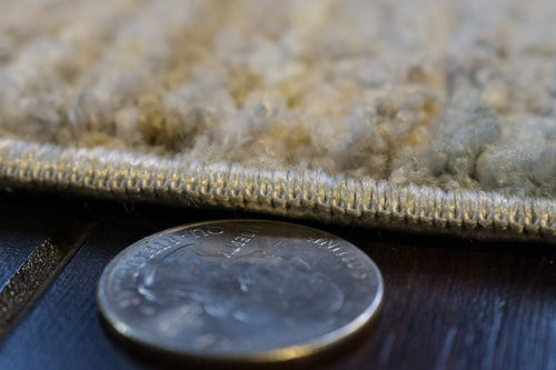 Dynamic Rugs Fiora 17233-199 Cream/Multi Rug