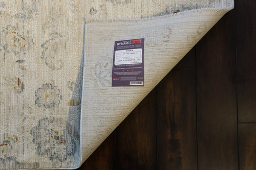 Dynamic Rugs Fiora 17234-180 Cream/Taupe Rug