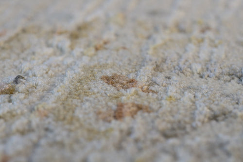 Dynamic Rugs Fiora 17234-180 Cream/Taupe Rug