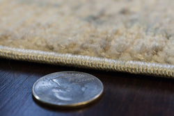 Dynamic Rugs Fiora 17234-180 Cream/Taupe Rug