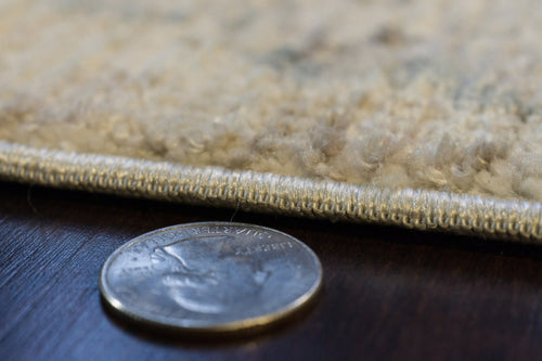 Dynamic Rugs Fiora 17234-180 Cream/Taupe Rug