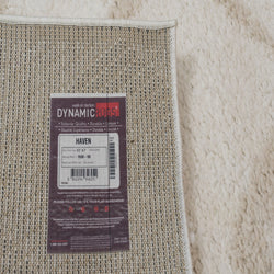 Dynamic Rugs Haven 19590-180 Ivory/Beige Rug
