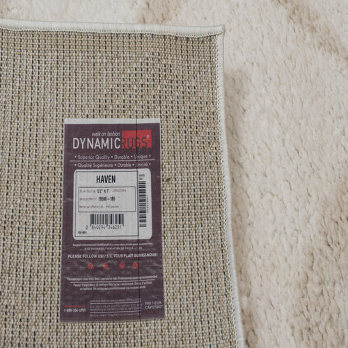 Dynamic Rugs Haven 19590-180 Ivory/Beige Rug