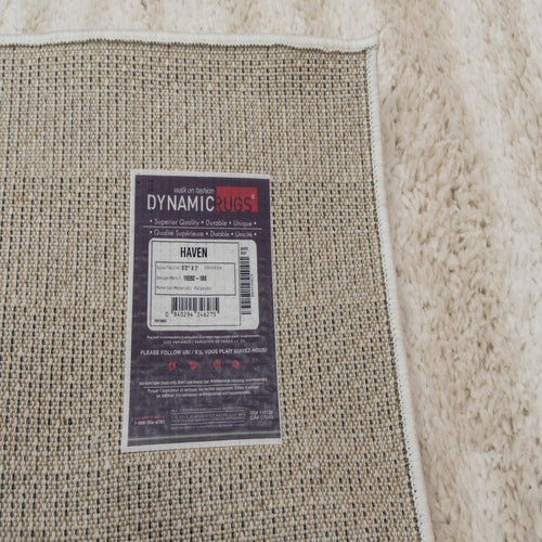 Dynamic Rugs Haven 19592-180 Ivory/Beige Rug
