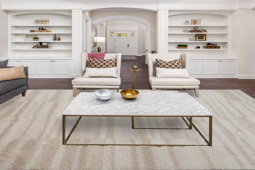 Dynamic Rugs Haven 19592-180 Ivory/Beige Rug