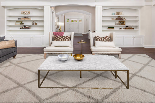 Dynamic Rugs Haven 19594-190 Ivory/Grey Rug