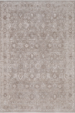 Dynamic Rugs Lara 14620-889 Brown/Grey Rug