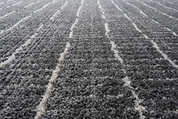 Dynamic Rugs Masai 14002-3121 Black/White Rug