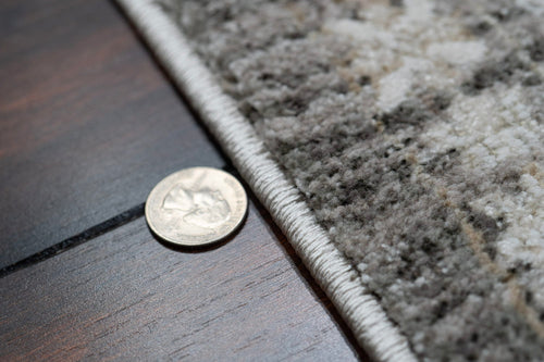 Dynamic Rugs Saffron 16613-981 Grey/Beige/Ivory Rug
