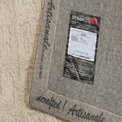 Dynamic Rugs Teak 12800-100 Ivory Rug
