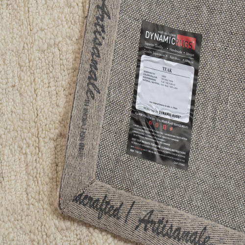 Dynamic Rugs Teak 12800-100 Ivory Rug
