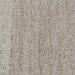 Dynamic Rugs Teak 12800-100 Ivory Rug