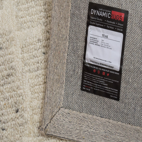 Dynamic Rugs Teak 12801-100 Ivory Rug