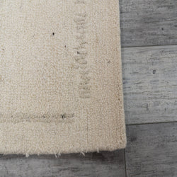 Dynamic Rugs Teak 12801-100 Ivory Rug