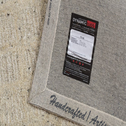 Dynamic Rugs Teak 12801-110 Cream Rug