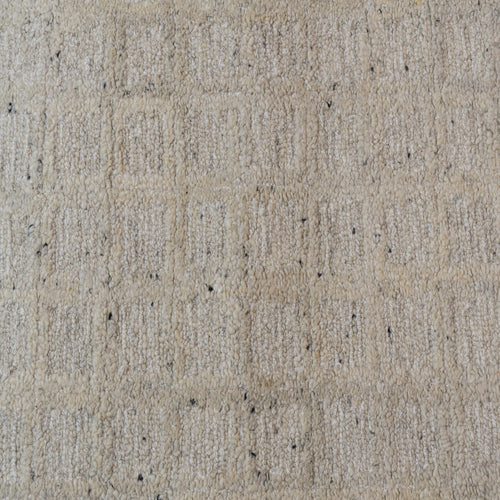 Dynamic Rugs Teak 12801-110 Cream Rug