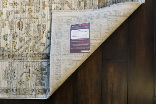 Dynamic Rugs Trevi 13250-910 Grey/Cream Rug