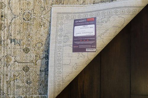 Dynamic Rugs Trevi 13251-180 Cream/Beige Rug