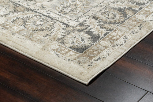 Dynamic Rugs Venedik 17772-190 Cream/Grey Rug