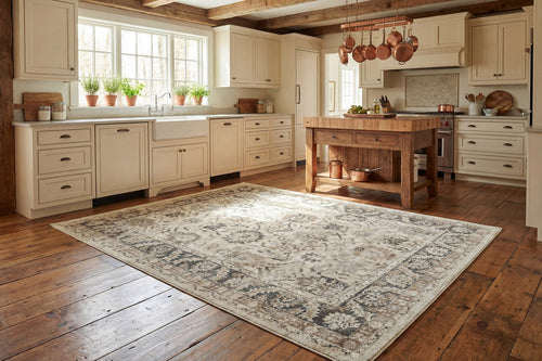 Dynamic Rugs Venedik 17772-190 Cream/Grey Rug