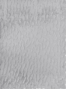 American cover design / Persian weavers Sculpted Bunny 50 Silver Rug