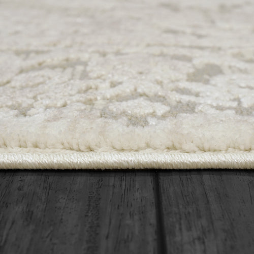 Dynamic Rugs Bailey 3881-819 Beige/Ivory/Grey Rug