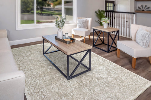 Dynamic Rugs Bailey 3881-819 Beige/Ivory/Grey Rug