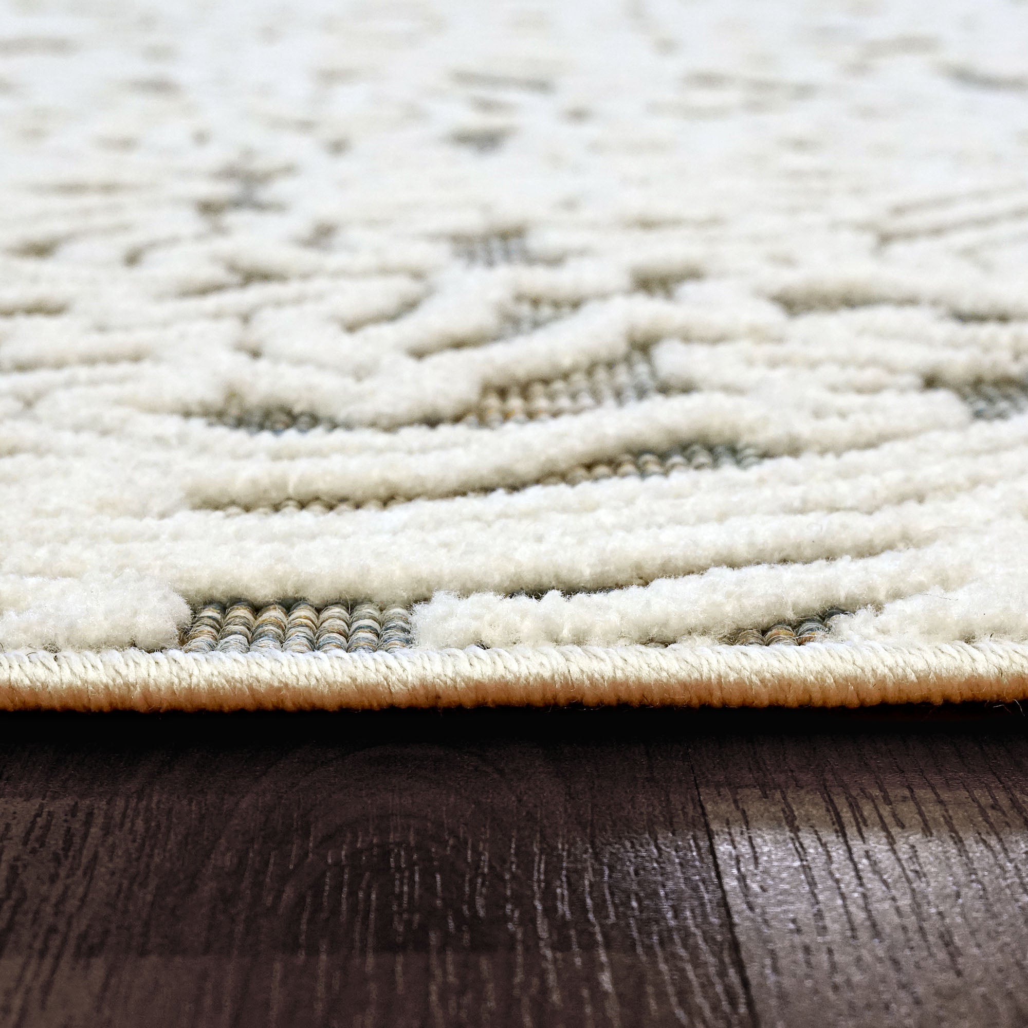 Dynamic Rugs LOTUS 8147-199 Ivory/Multi Rug