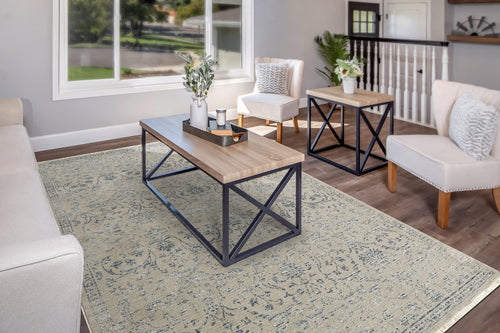 Dynamic Rugs Bailey 3880-950 Grey/Blue Rug