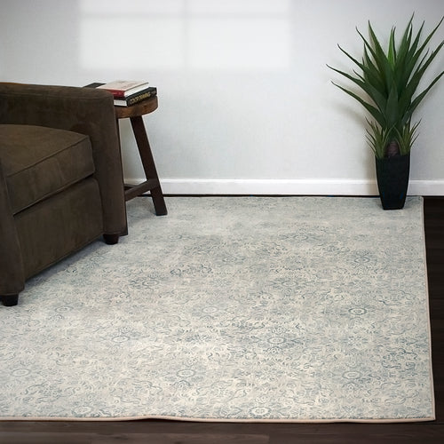 Dynamic Rugs Ancient Garden 57162-9646 Silver/Grey Rug