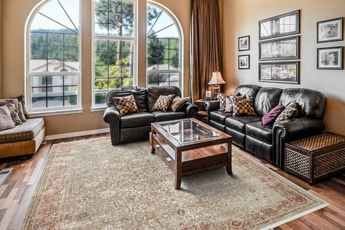 Dynamic Rugs Ella 3981-813 Taupe/Ivory/Red Rug