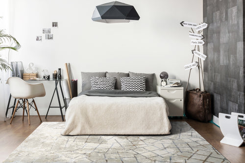 Dynamic Rugs GOLD 1354-897 Cream/Silver Rug
