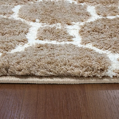 Dynamic Rugs SILKY SHAG 5903-115 Beige Rug