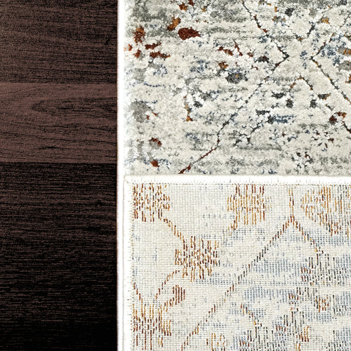 Dynamic Rugs CAPELLA 7975-999 Grey/Multi Rug