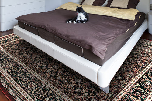 Dynamic Rugs BRILLIANT 72240-330 Red Rug
