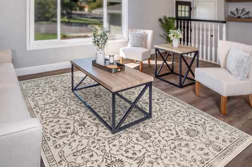 Dynamic Rugs Bailey 3880-190 Ivory/Grey Rug