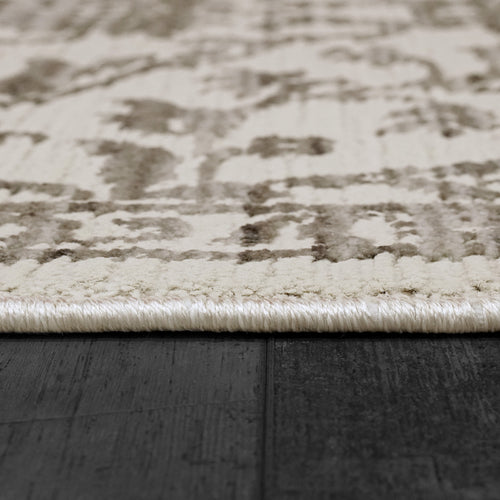 Dynamic Rugs Bailey 3880-190 Ivory/Grey Rug