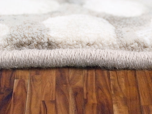Dynamic Rugs ECLIPSE 64194-8565 Ivory Rug