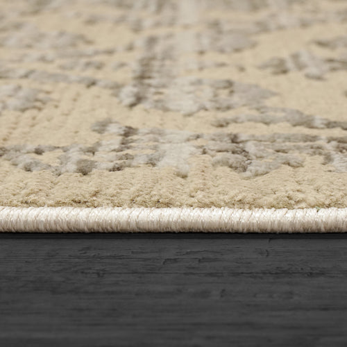 Dynamic Rugs Bailey 3883-890 Beige/Grey Rug
