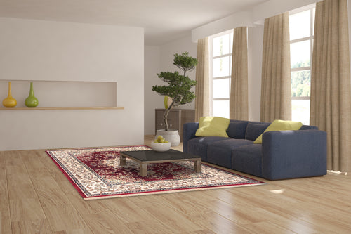 Dynamic Rugs BRILLIANT 7201-330 Red Rug