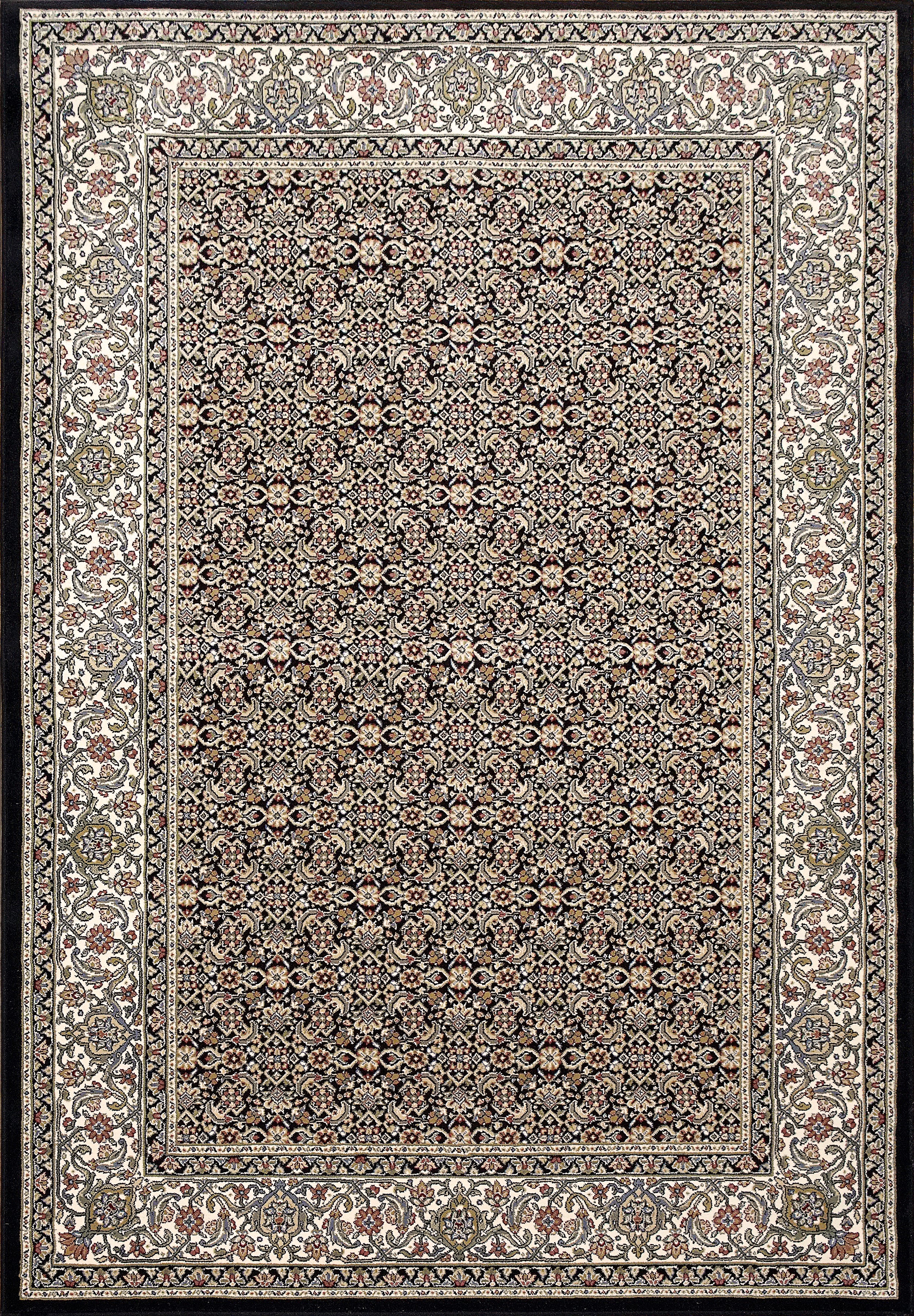 Dynamic Rugs Ancient Garden 57011-3263 Black/Ivory Rug