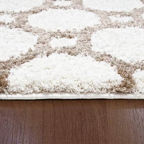 Dynamic Rugs SILKY SHAG 5903-110 White Rug