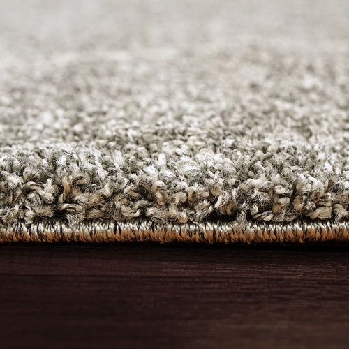 Dynamic Rugs MEHARI 23229-4268 Grey Rug