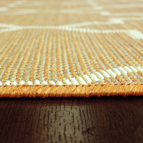 Dynamic Rugs NEWPORT 96003-8008 Orange Rug