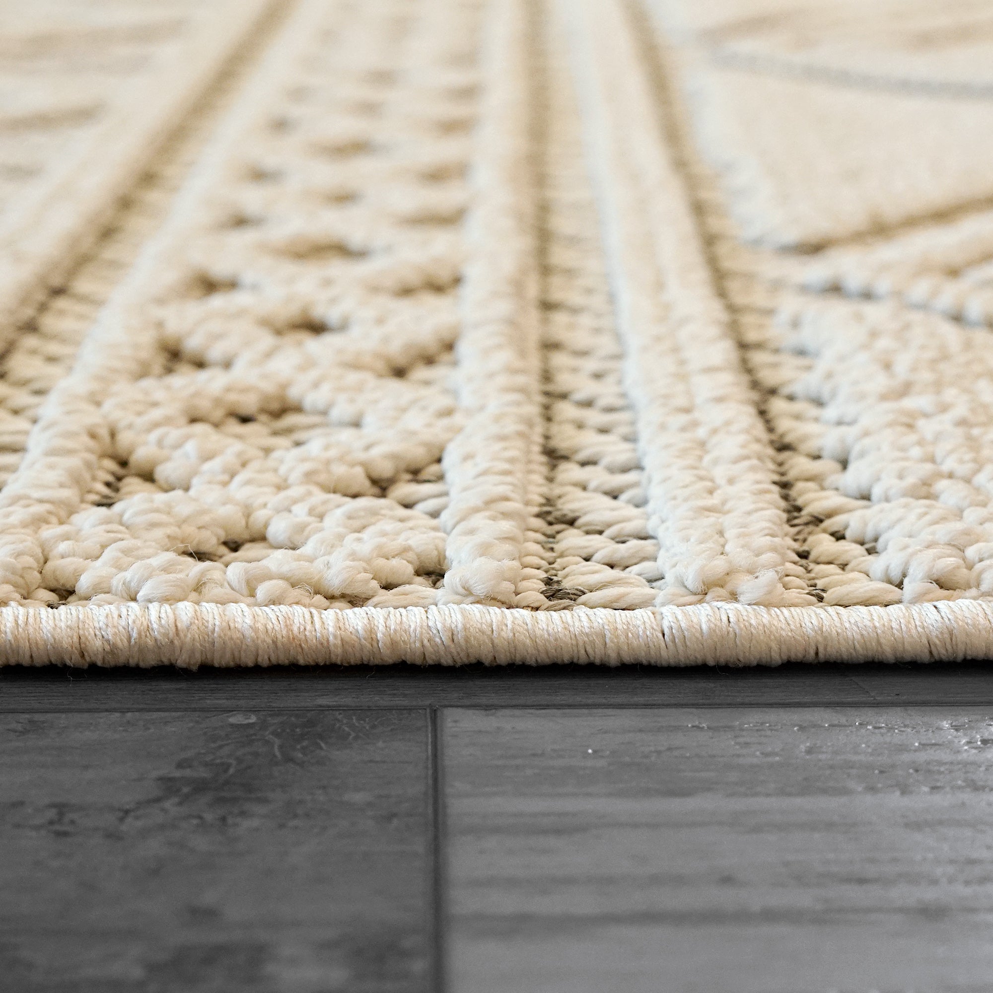 Dynamic Rugs SEVILLE 3607-109 Ivory/Soft Grey Rug